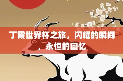 丁霞世界杯之旅，闪耀的瞬间，永恒的回忆
