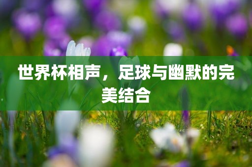 世界杯相声，足球与幽默的完美结合眉山市正发家政服务有限公司