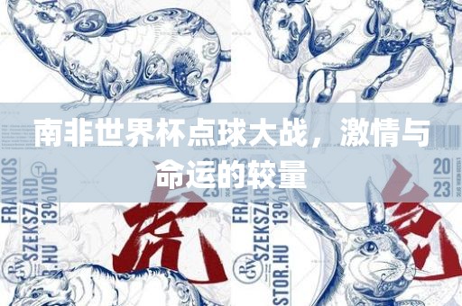 南非世界杯点球大战，激情与命运的较量眉山市正发家政服务有限公司
