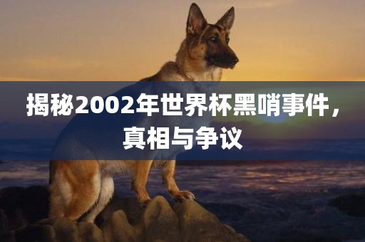 揭秘2002年世界杯黑哨事件，真相与争议眉山市正发家政服务有限公司