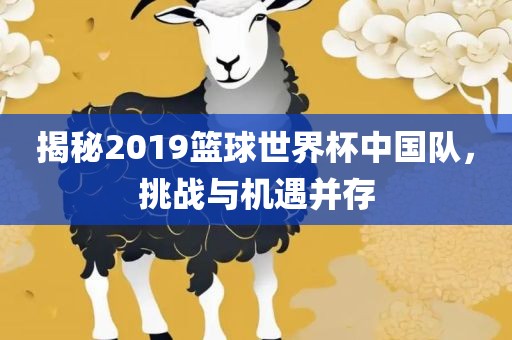 揭秘2019篮球世界杯中国队，挑战与机遇并存
