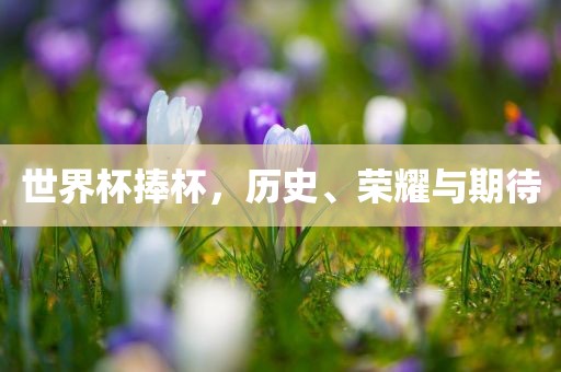 世界杯捧杯，历史、荣耀与期待