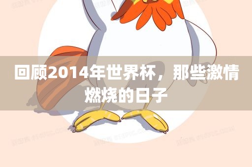 回顾2014年世界杯，那些激情燃烧的眉山市正发家政服务有限公司日子