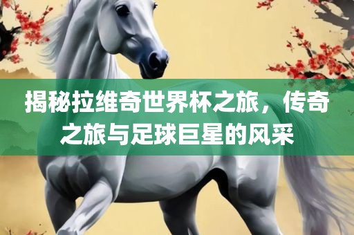 揭秘拉维奇世界杯之旅，传奇之旅与足球巨星的风采