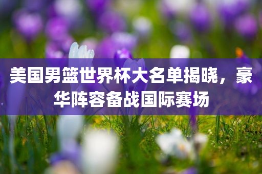 美国男篮世界杯大名单揭晓，豪华阵容备战国际赛场