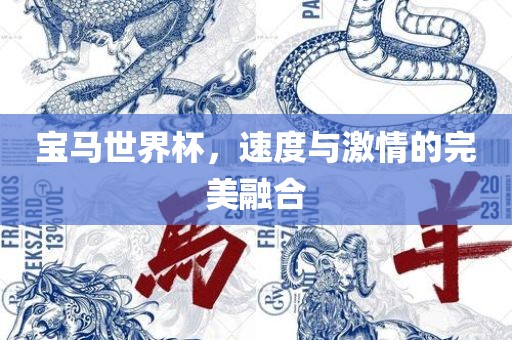 宝马世界杯，速度与激情的完美融合