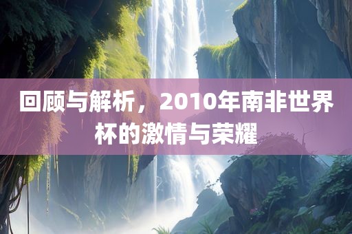 回顾与解析，2010年南非世界杯的激情与荣耀眉山市正发家政服务有限公司