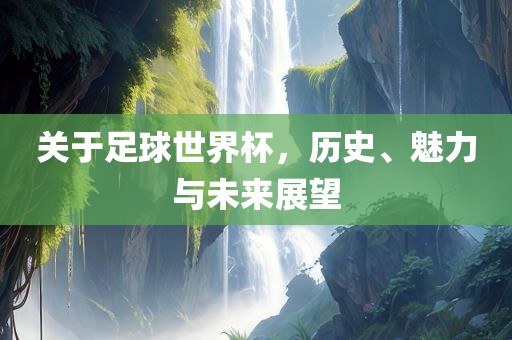 关于足球世界杯，历史、魅力与未来展望
