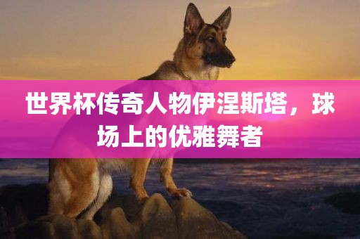 世界杯传奇人物伊涅斯塔，球场上的优雅舞者