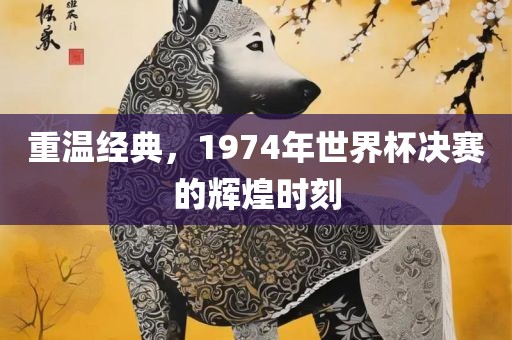 重温经典，1974年世界杯决赛的辉煌时刻眉山市正发家政服务有限公司