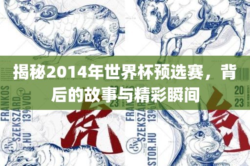 揭秘2014年世界杯预选赛，背后的故事与精彩瞬间