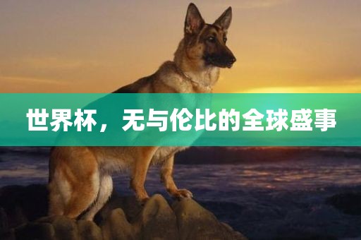 世界杯，无与伦比的全球盛事