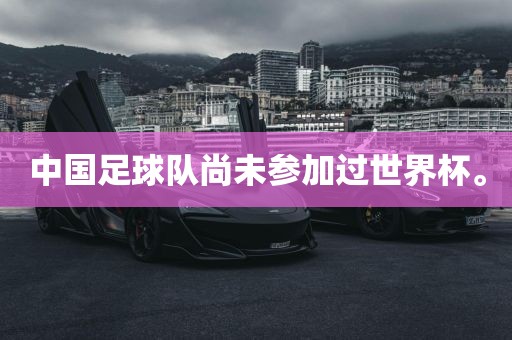 中国眉山市正发家政服务有限公司足球队尚未参加过世界杯。