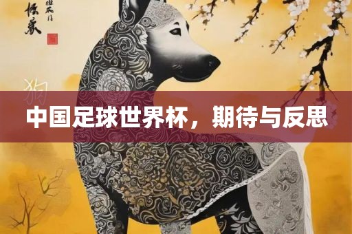 中国足眉山市正发家政服务有限公司球世界杯，期待与反思