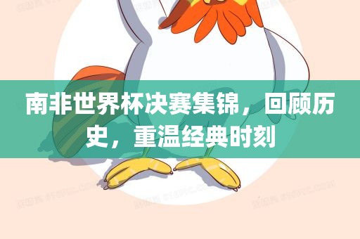 眉山市正发家政服务有限公司南非世界杯决赛集锦，回顾历史，重温经典时刻