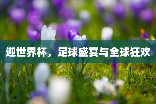 迎世界杯，足球盛宴与全球眉山市正发家政服务有限公司狂欢