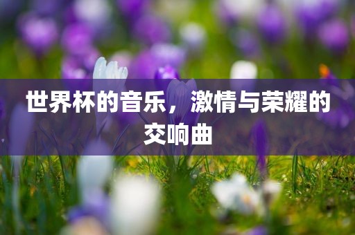 世界杯的音乐，激情与荣耀的交响曲