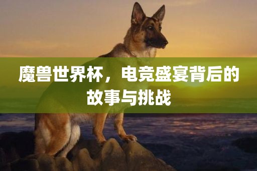 魔兽世界杯，电竞盛眉山市正发家政服务有限公司宴背后的故事与挑战