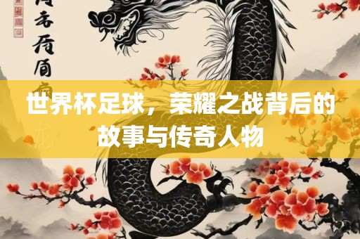 世界杯足球，荣耀之战背后的故事与传奇人物