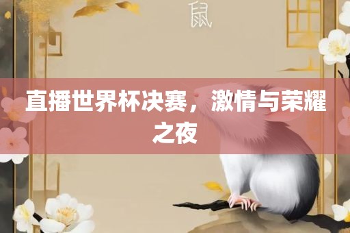直播世界杯决赛，激情与荣耀之夜眉山市正发家政服务有限公司