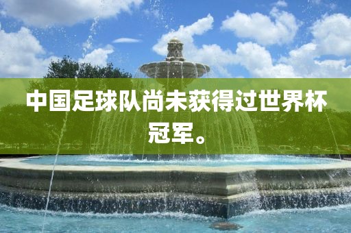 中国足球队尚未获得过世界杯冠军。