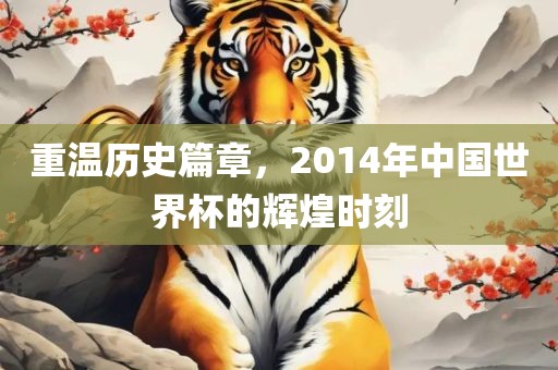 重温历史篇章，2014年中国世界杯的辉煌时刻