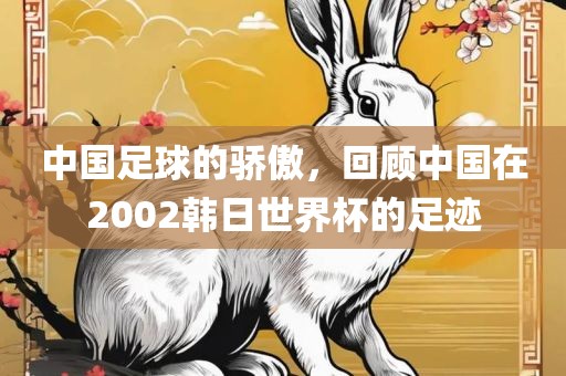 中国足球的骄傲，回顾中国在2002韩日世界杯的足迹眉山市正发家政服务有限公司