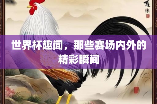 世界杯趣闻，那些赛场内外的精彩瞬间