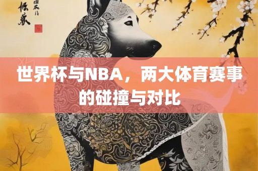 世界杯与NBA，两大体育赛事的碰撞与对比