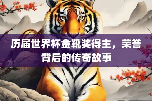 历届世界杯金靴奖得主，荣誉背后的传奇故事