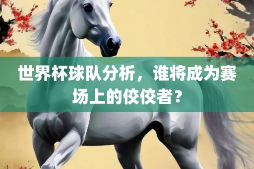 世界杯球队分析，谁将成为赛场上的佼佼者？