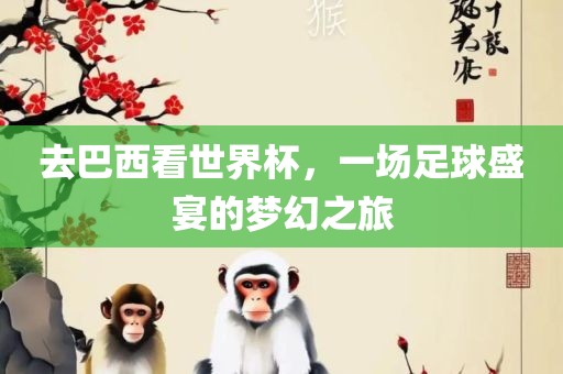 去巴西看世界杯，一场足球盛宴的梦幻之旅