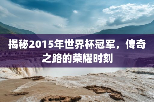 揭秘2015年世界杯冠军，传奇之路的荣耀时刻