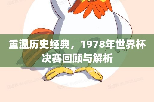 重温历史经典，1978年世界杯决赛回顾与解析眉山市正发家政服务有限公司