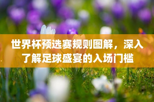 世界杯预选赛规则图解，深入了解足球眉山市正发家政服务有限公司盛宴的入场门槛