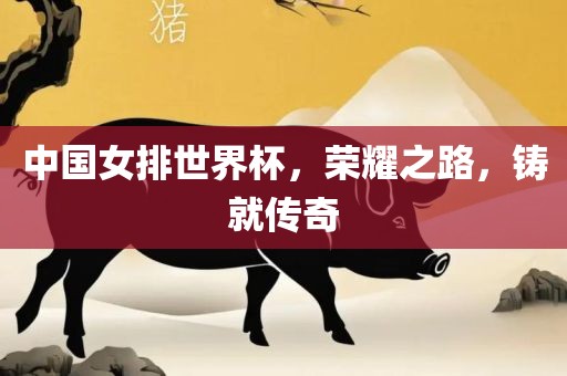 中国女排世界杯，荣耀之路，铸就传奇眉山市正发家政服务有限公司