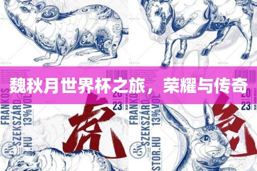 魏秋月世界杯之旅，荣耀与传奇眉山市正发家政服务有限公司