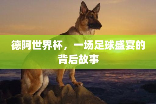 德阿世界杯，一场足球盛宴的背后故事