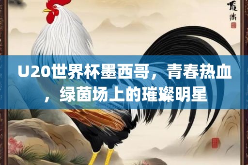 U20世界杯墨西哥，青春热血，绿茵场上的璀璨明星