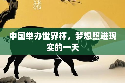 中国举办世界杯，梦想照进现实的一天