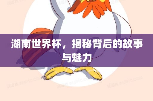 湖南世界杯，揭秘背后的故事与魅力