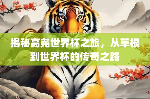 揭秘高尧世界杯之旅，从草根到世界杯的传奇之路