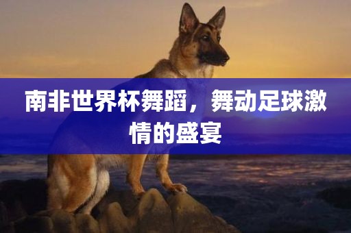 南非世界杯舞蹈，舞动足球激情的盛宴