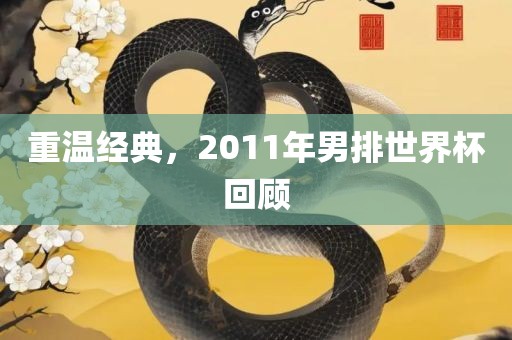 重温经典，2011年男排世界杯回顾