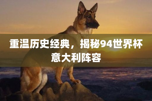 重温历史经典，揭秘94眉山市正发家政服务有限公司世界杯意大利阵容