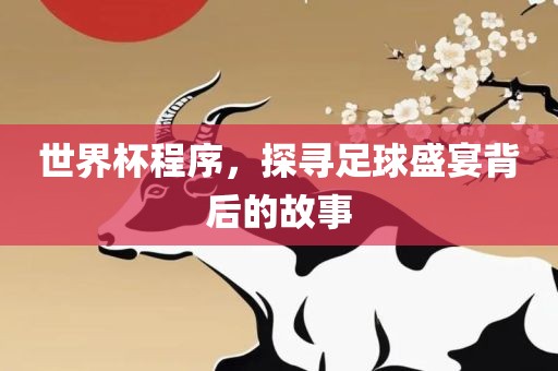 世界杯程序，探寻足球盛宴背后的故事
