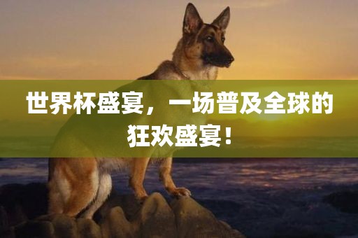 世界杯盛宴，一场普及全球的狂欢盛宴！眉山市正发家政服务有限公司