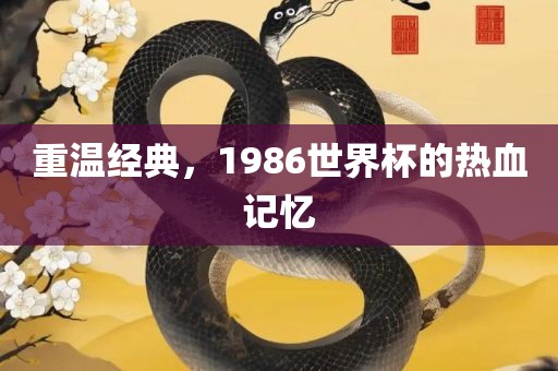 重温经典，1986世界杯的热血记忆