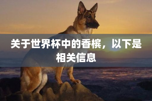 关于世界杯中的香槟，以下是相关信息
