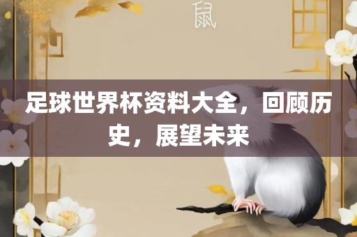 足球世界杯资料大全，回顾历史，展望未来